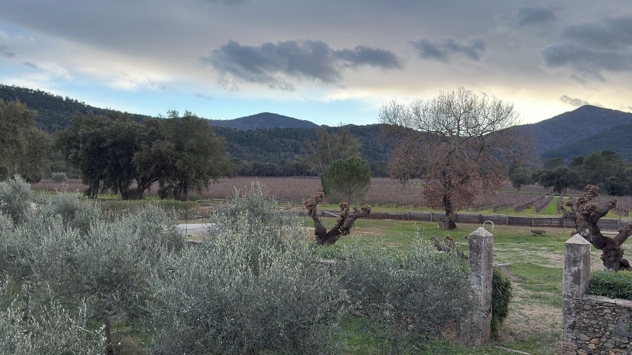 Photo of Others in Gonfaron