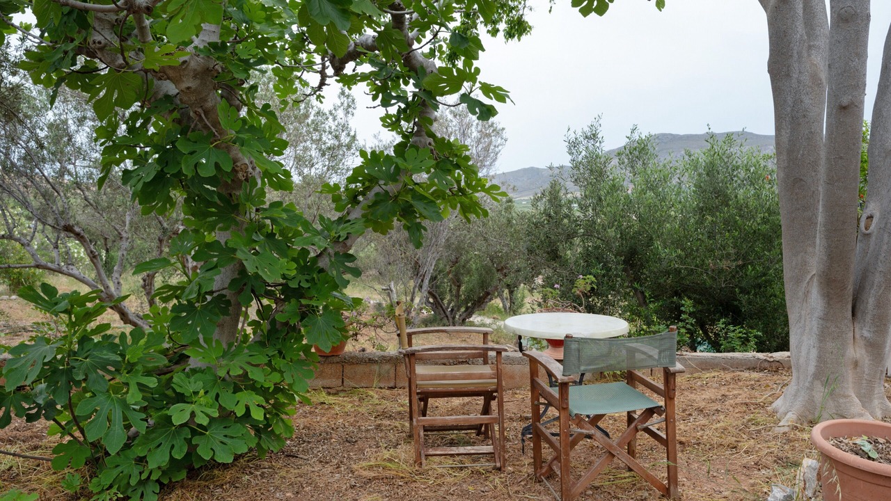 Photo of Outdoor in Palekastro