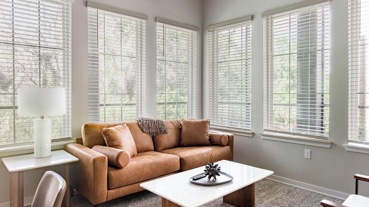 Photo of Livingroom in Wimauma