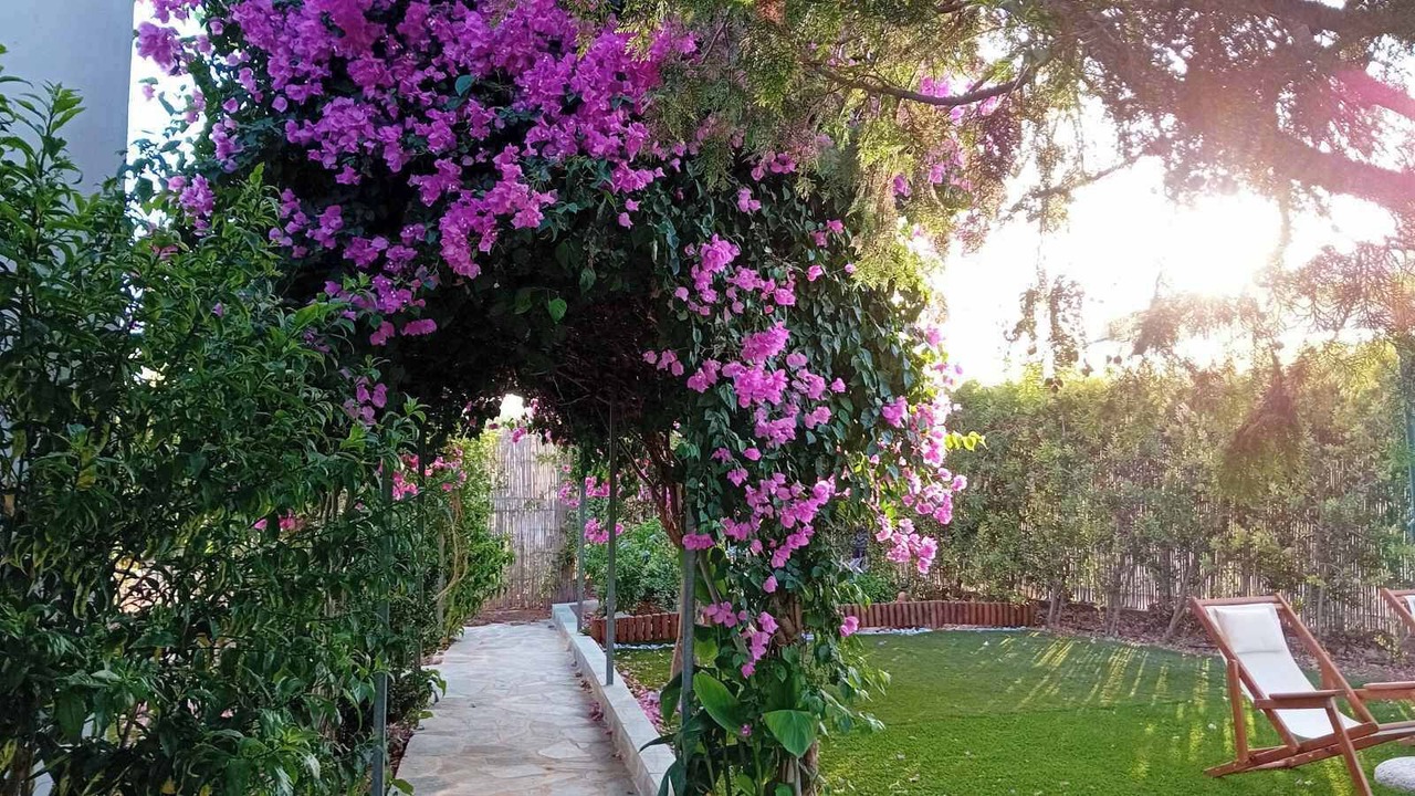 Photo of Outdoor in Geropotamos