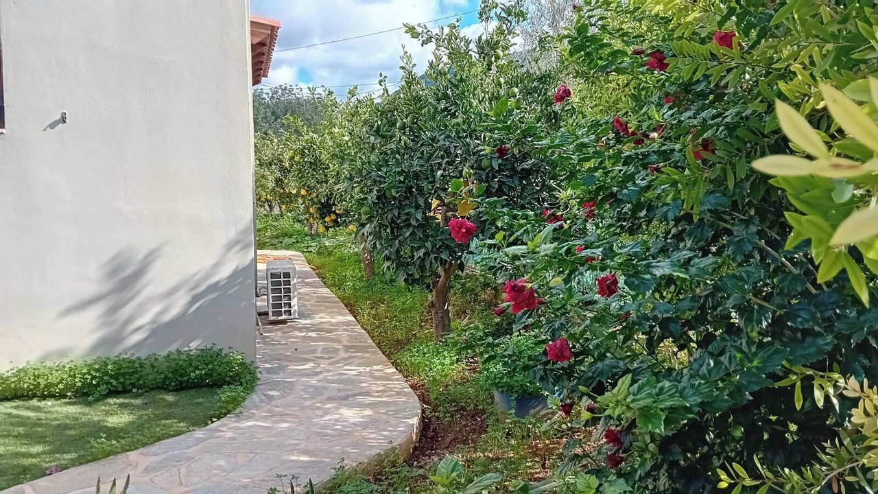 Photo of Outdoor in Geropotamos