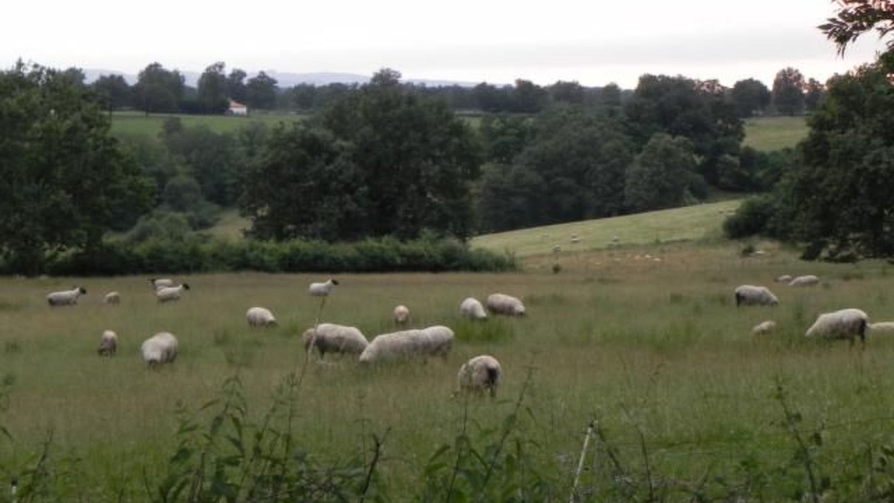 Photo of Others in Bourg-le-Comte