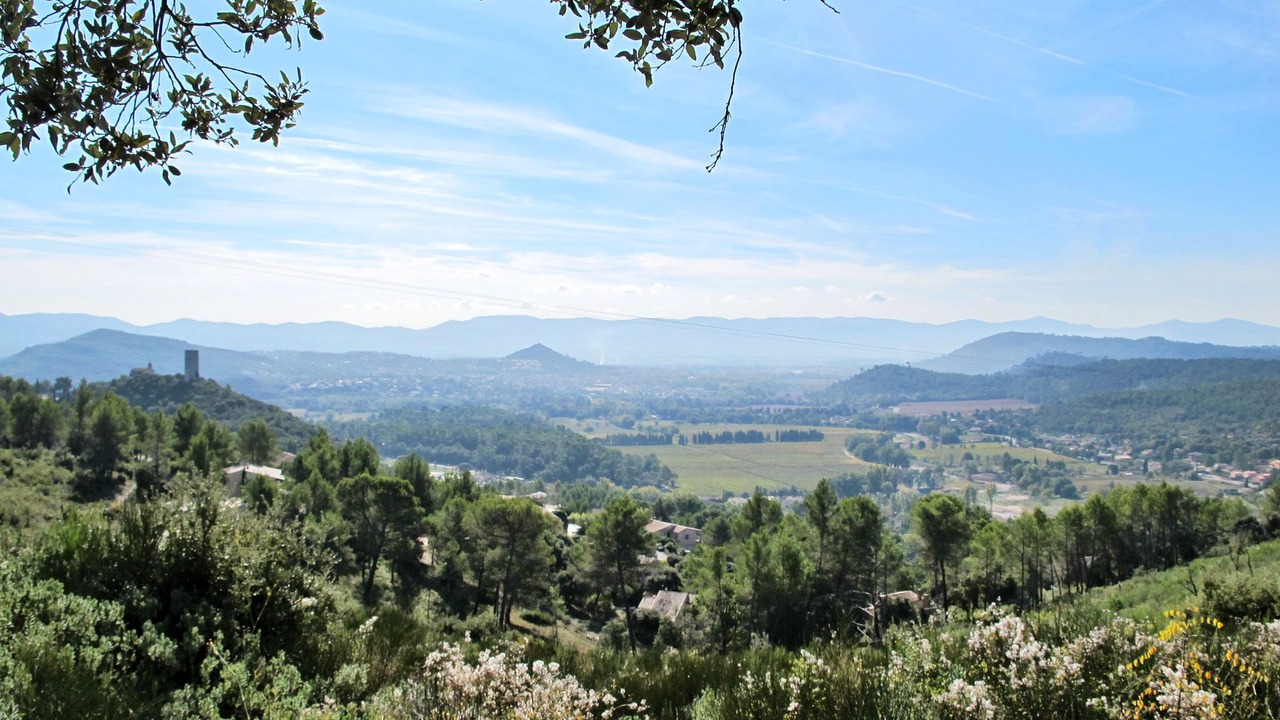 Photo of Outdoor in Taradeau