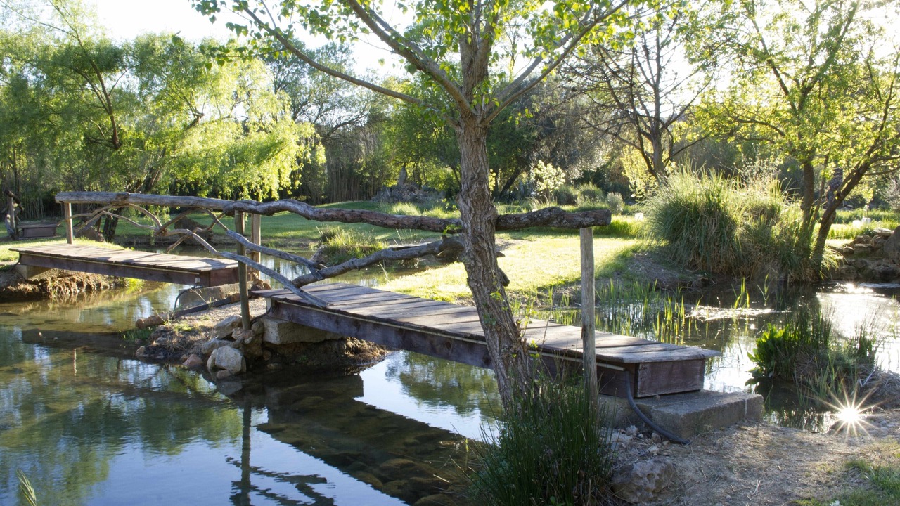 Photo of Others in Trans-en-Provence