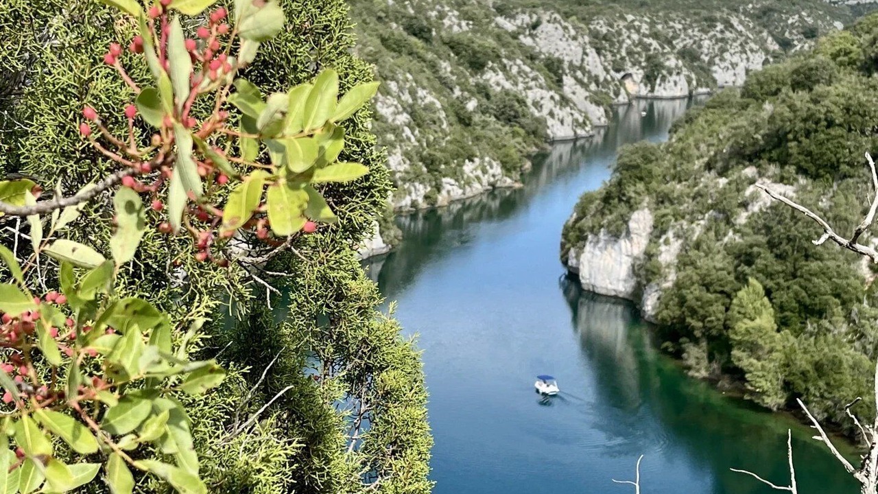 Photo of Others in Saint-Laurent-du-Verdon