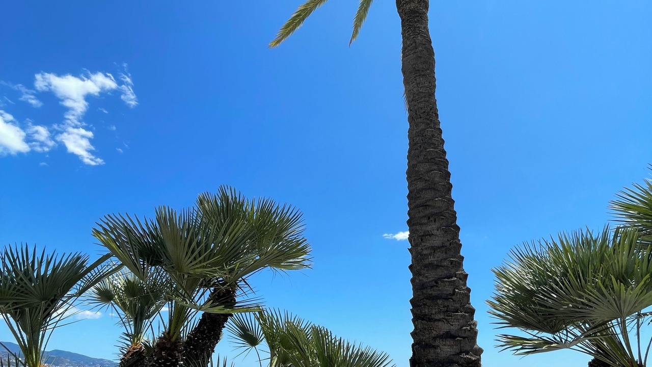 Photo of Outdoor in Roquebrune-Cap-Martin