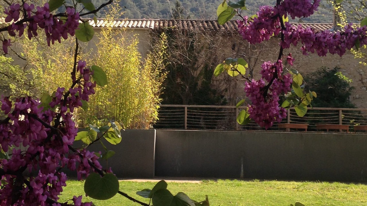Photo of Outdoor in Gemenos