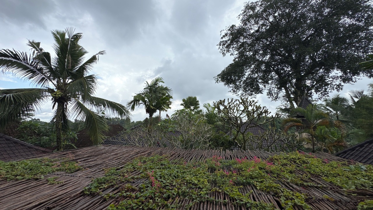 Photo of Outdoor in Melayang