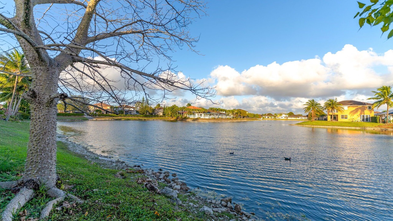 Photo of Others in Tamiami