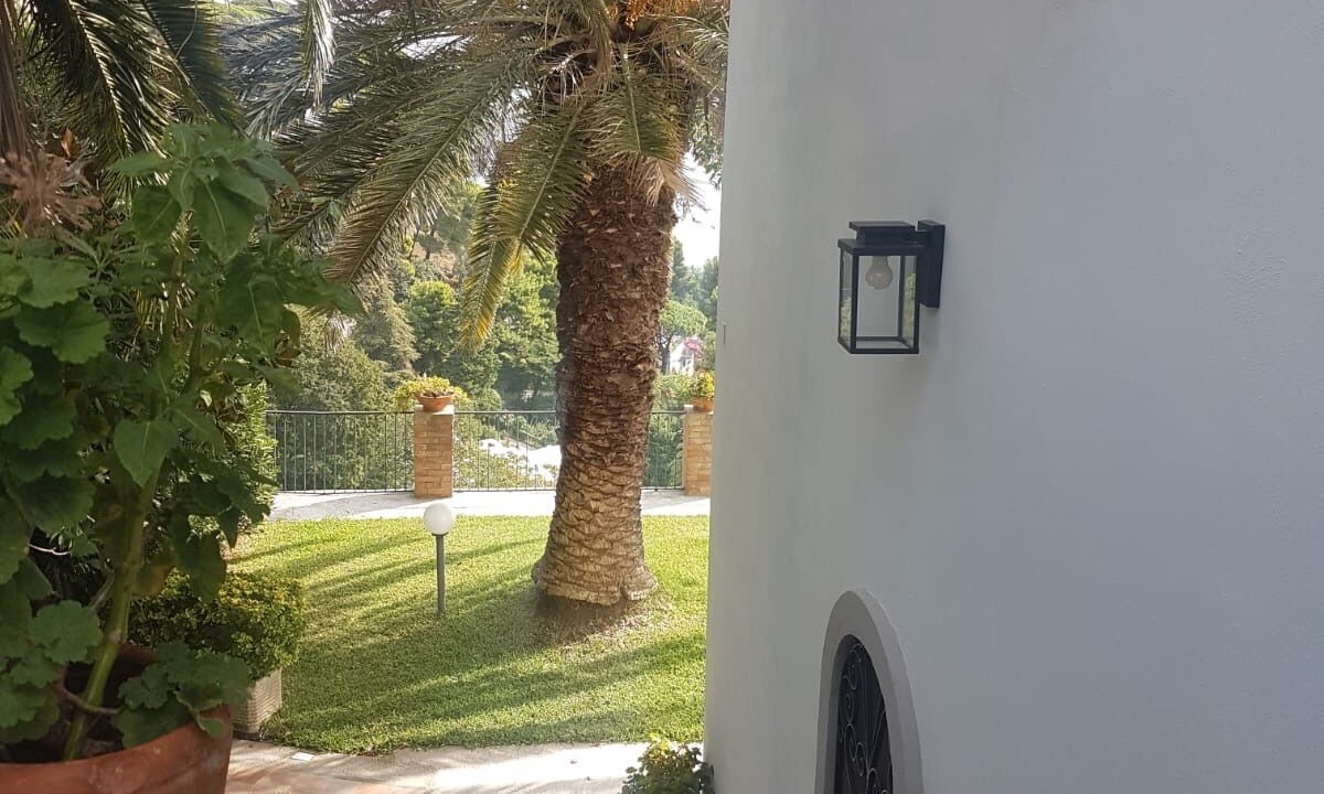 Photo of Outdoor in Raito