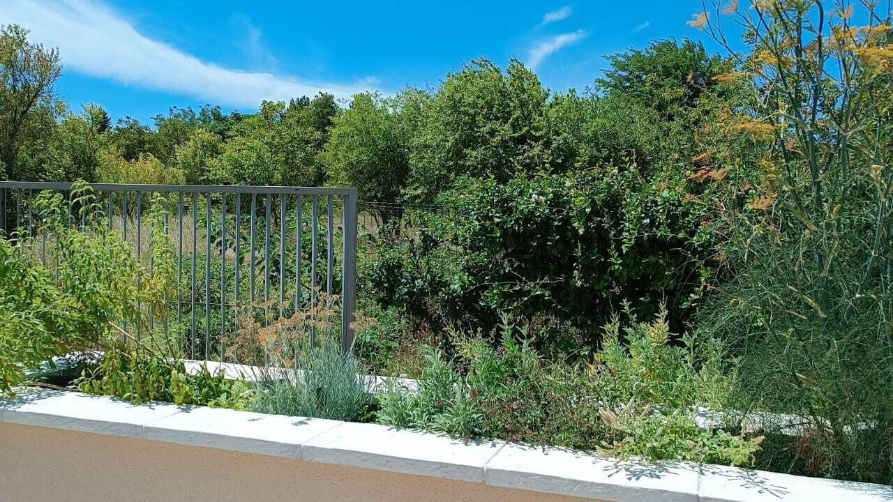 Photo of Outdoor in Velleron