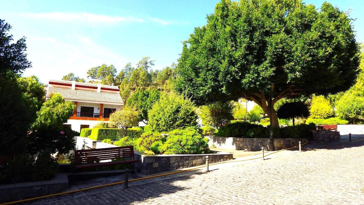 Photo of Outdoor in Vilaflor