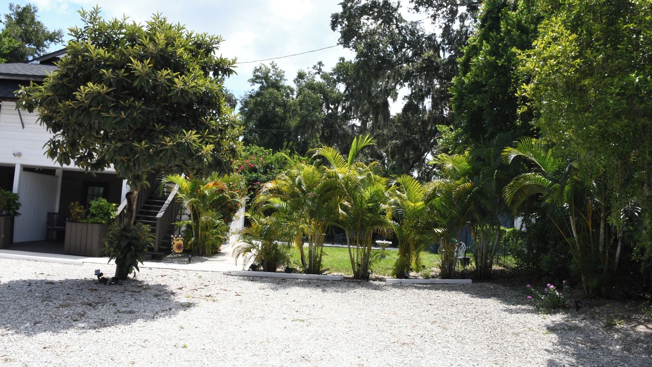 Photo of Outdoor in Winter Haven