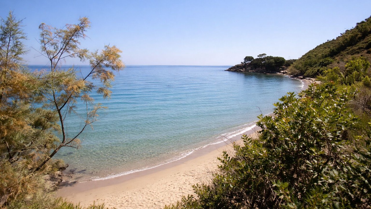 Photo of Others in Alikanas