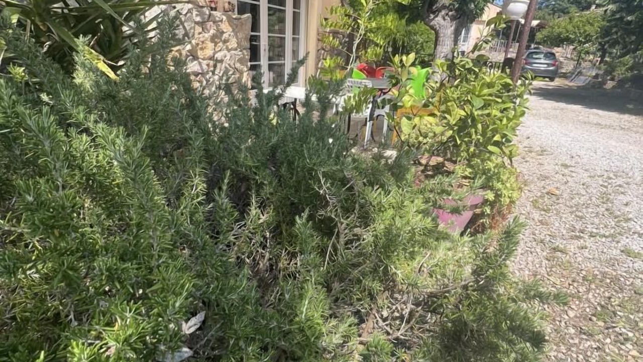 Photo of Outdoor in Gonfaron