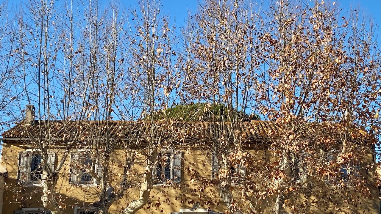 Photo of Others in Saint-Cyr-sur-Mer