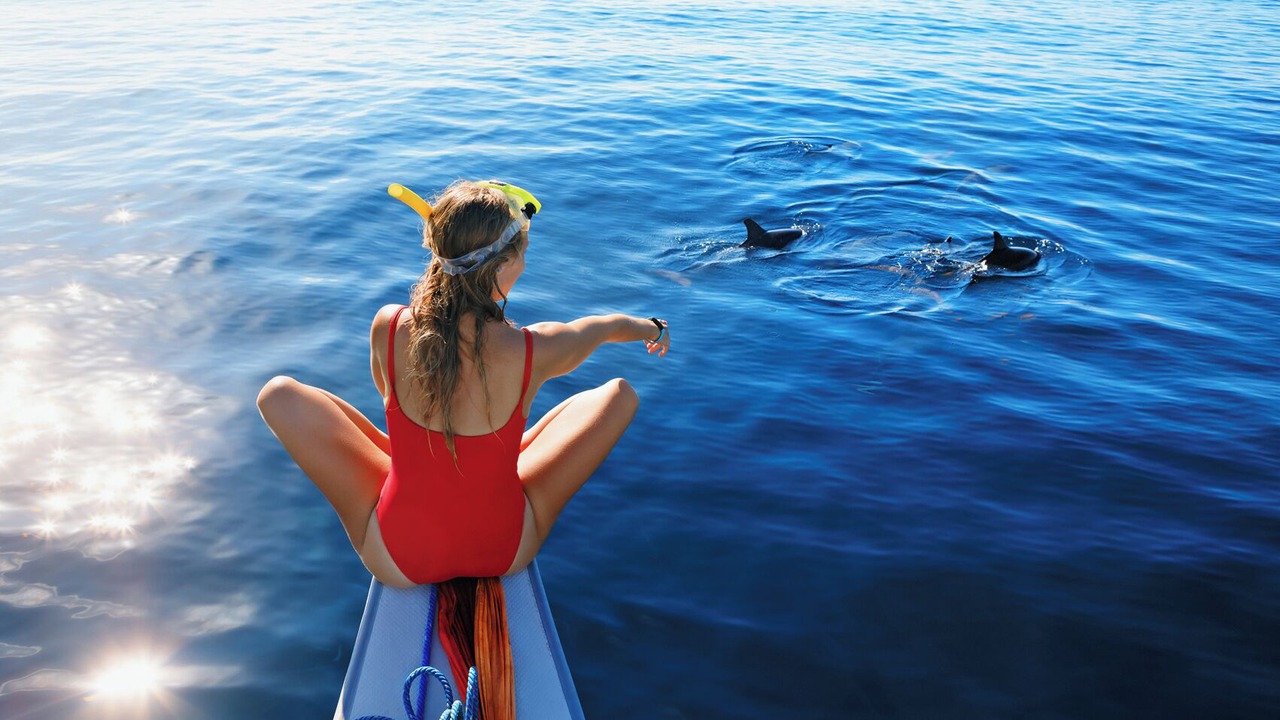 Photo of Others in Paleros