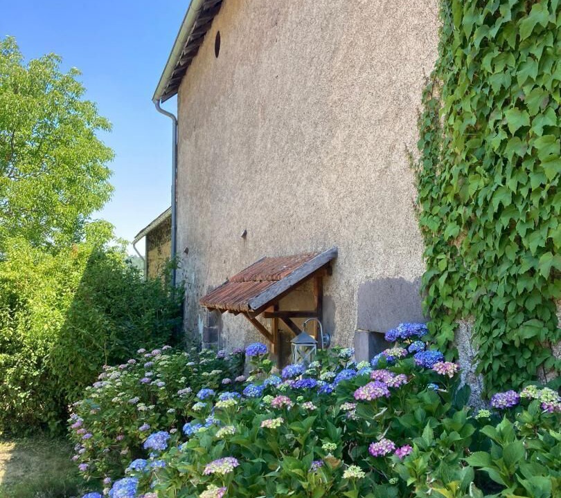Photo of Outdoor in Manzat
