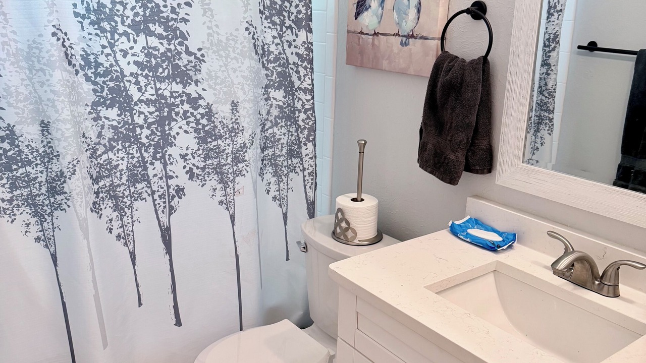Photo of Bathroom in East County Civic Group