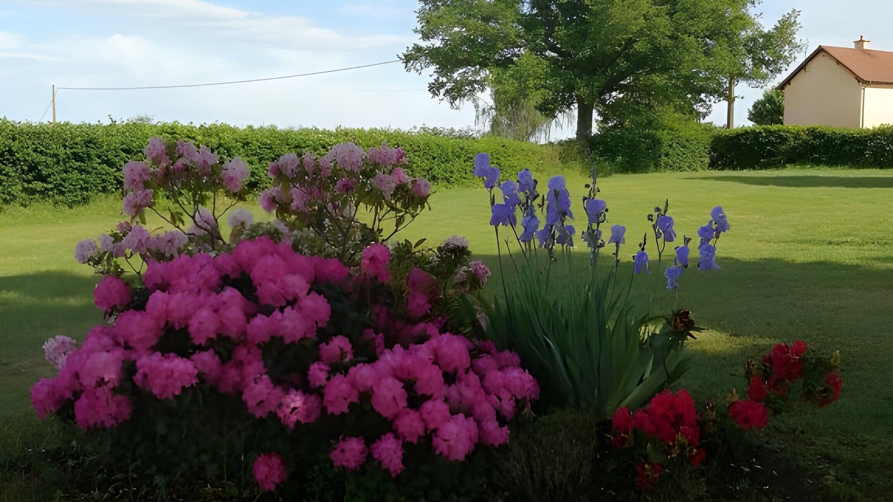 Photo of Outdoor in Montaiguet-en-Forez