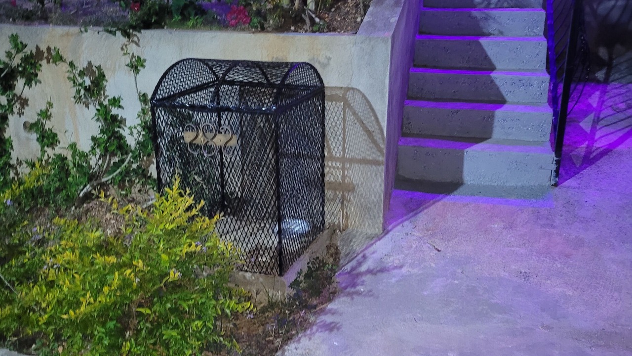 Photo of Outdoor in Stewart Town