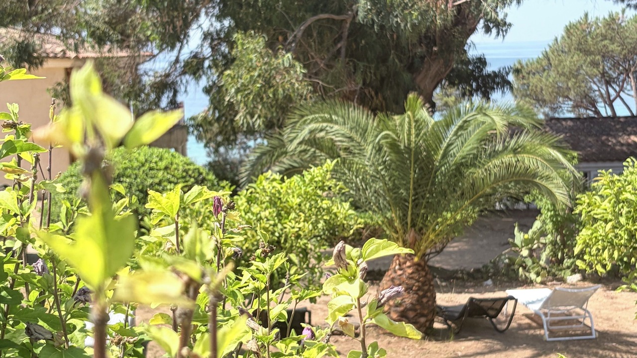 Photo of Outdoor in Cavaliere Beach