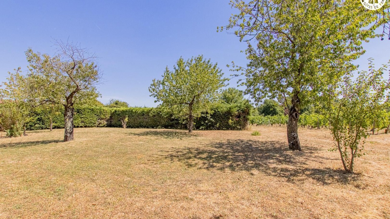 Photo of Outdoor in Montbellet