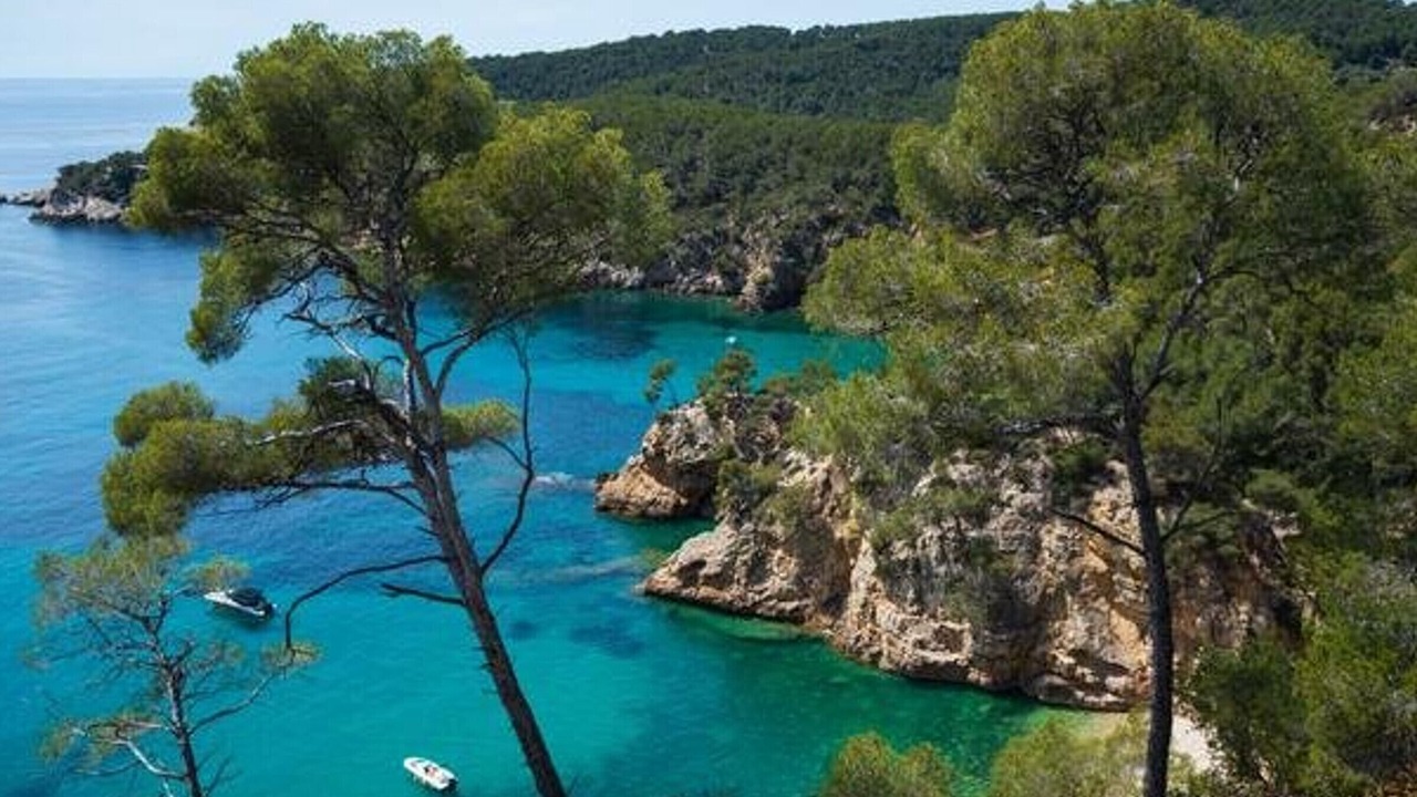Photo of Others in Saint-Cyr-sur-Mer