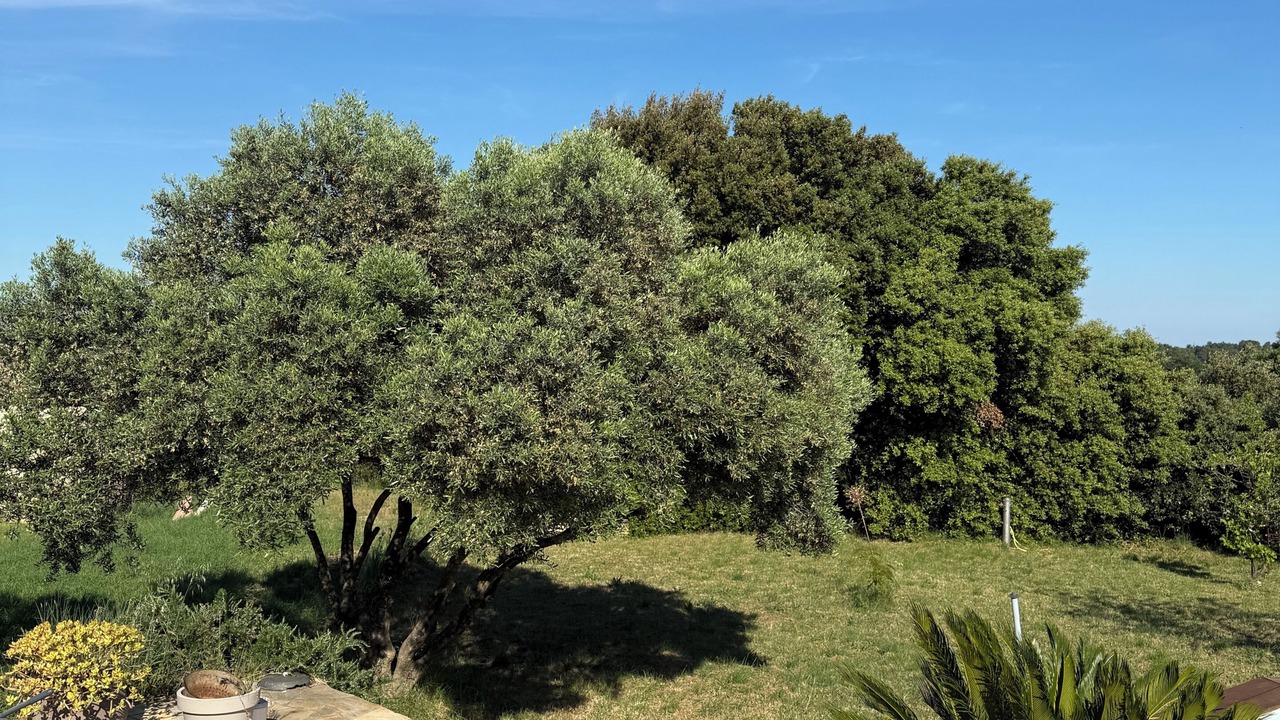 Photo of Outdoor in Saint-Marcel-d'Aredeche