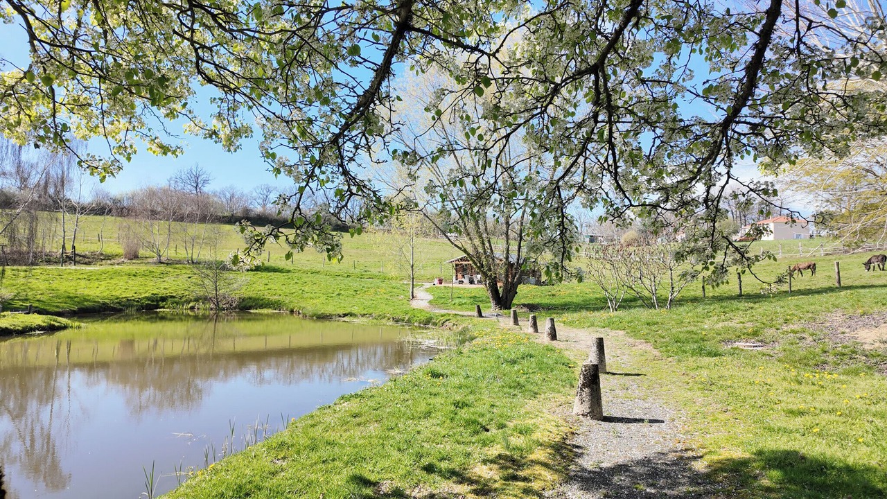 Photo of Outdoor in Meilhac