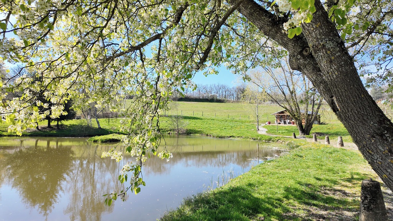 Photo of Outdoor in Meilhac