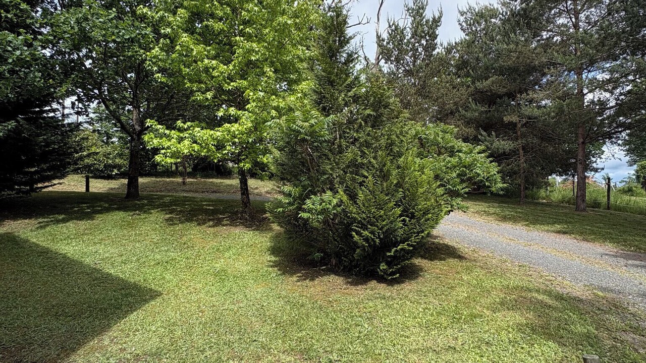 Photo of Outdoor in Meilhac