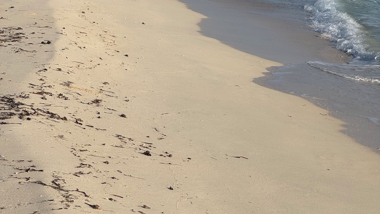 Photo of Others in Silver Sands