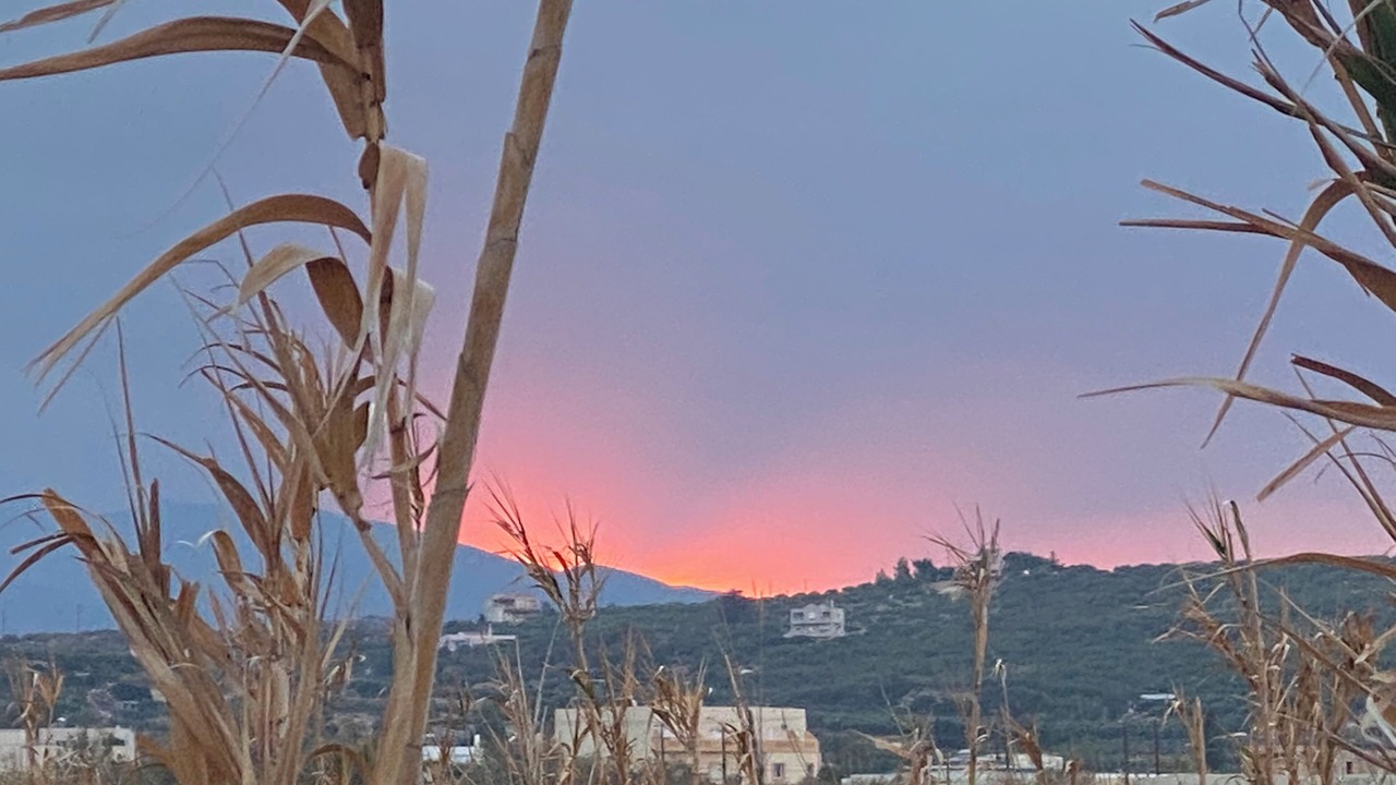 Photo of Others in Sitia