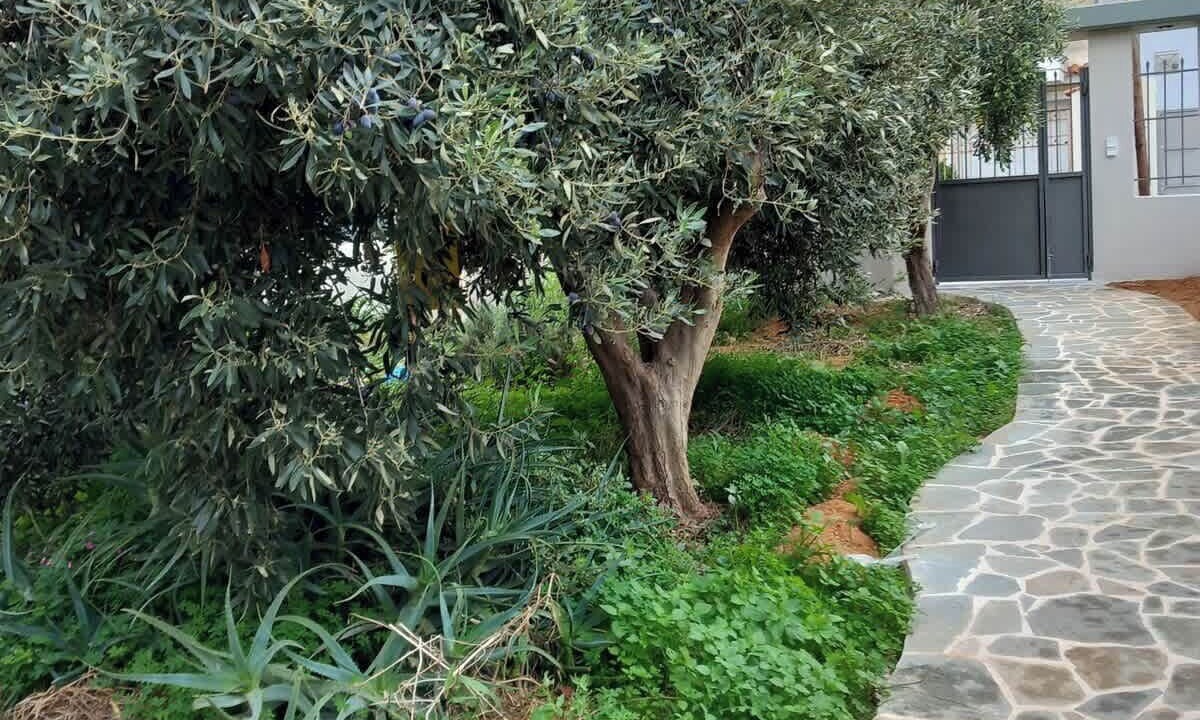 Photo of Outdoor in Paiania