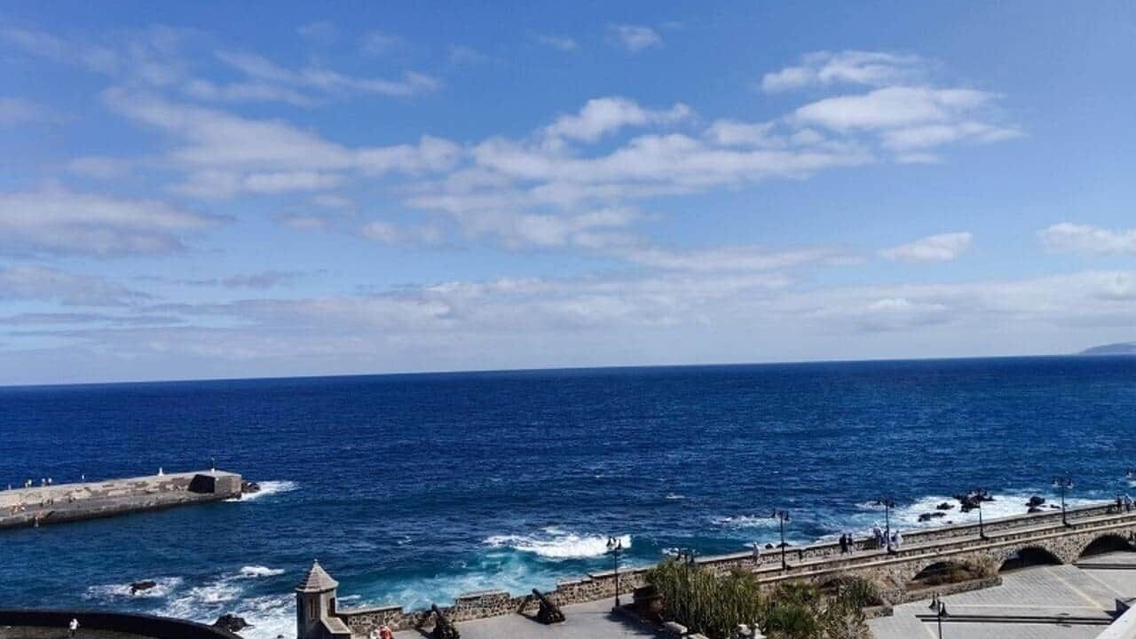 Photo of Others in Puerto de la Cruz