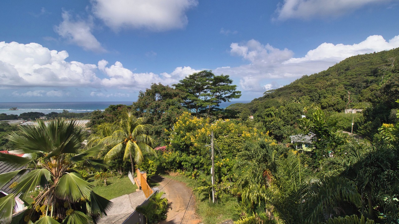Photo of Others in Anse Royale