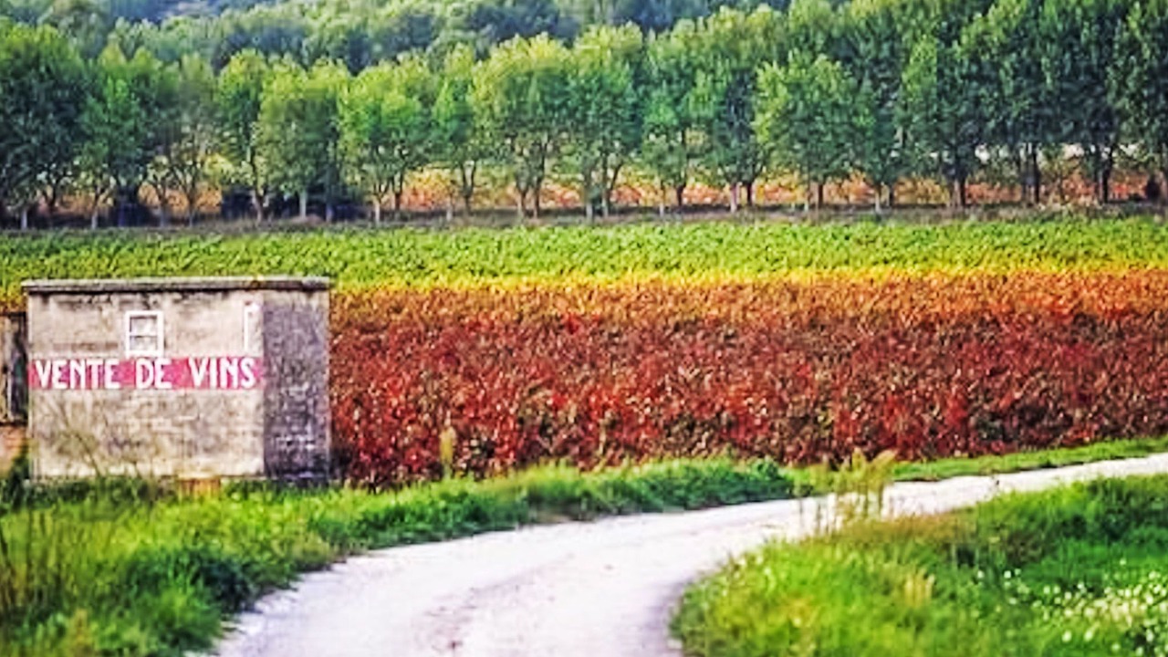 Photo of Others in Les Arcs-sur-Argens