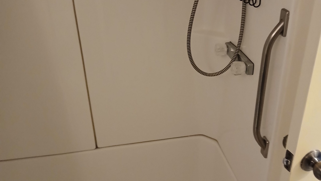 Photo of Bathroom in Zephyrhills South