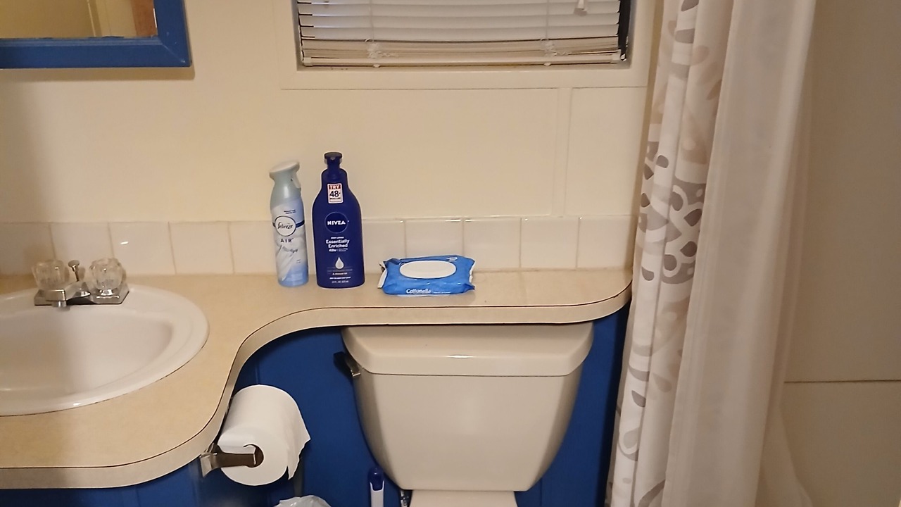 Photo of Bathroom in Zephyrhills South
