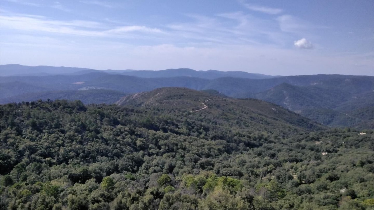 Photo of Others in La Garde-Freinet