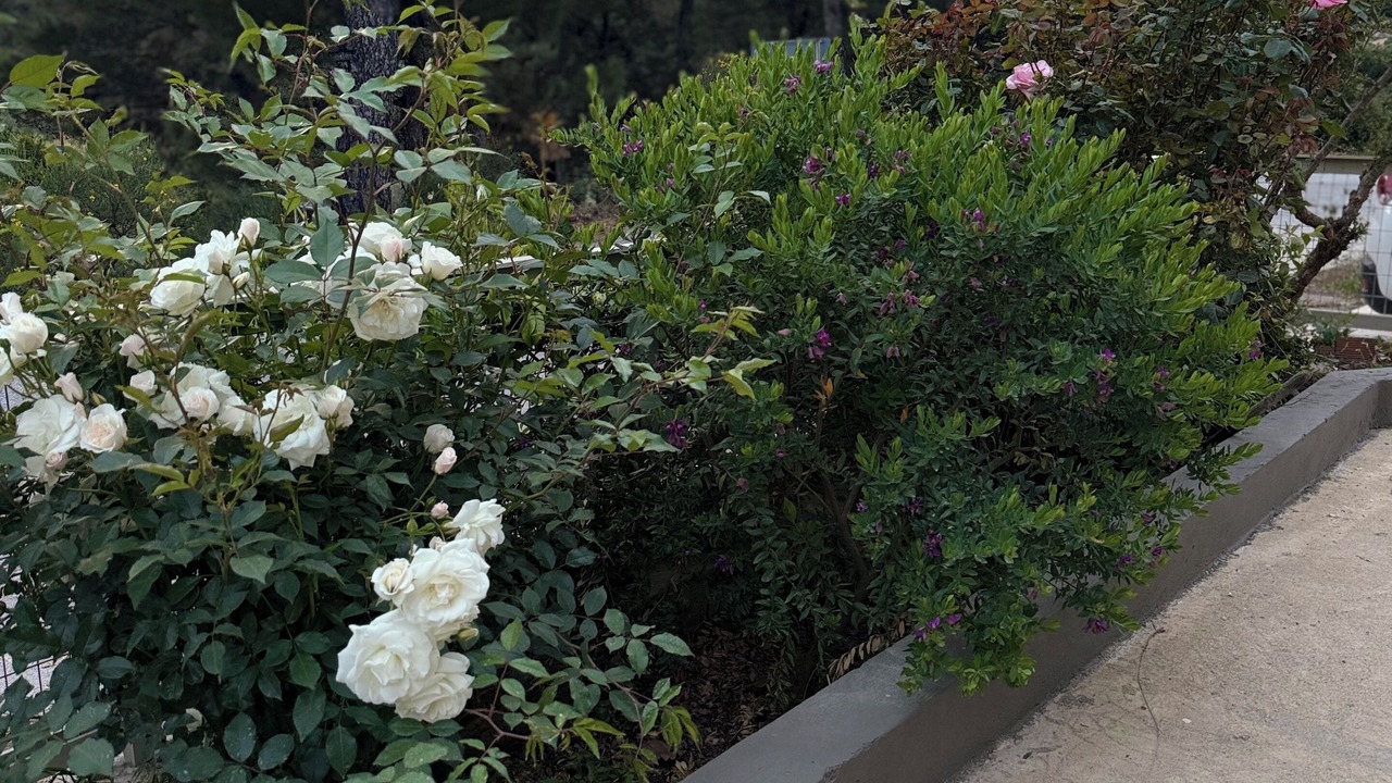 Photo of Outdoor in Armenistis