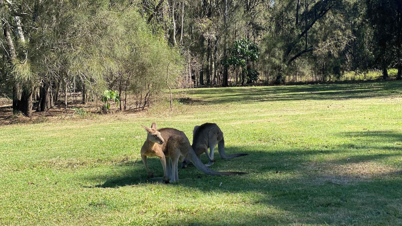 Photo of Others in Runaway Bay