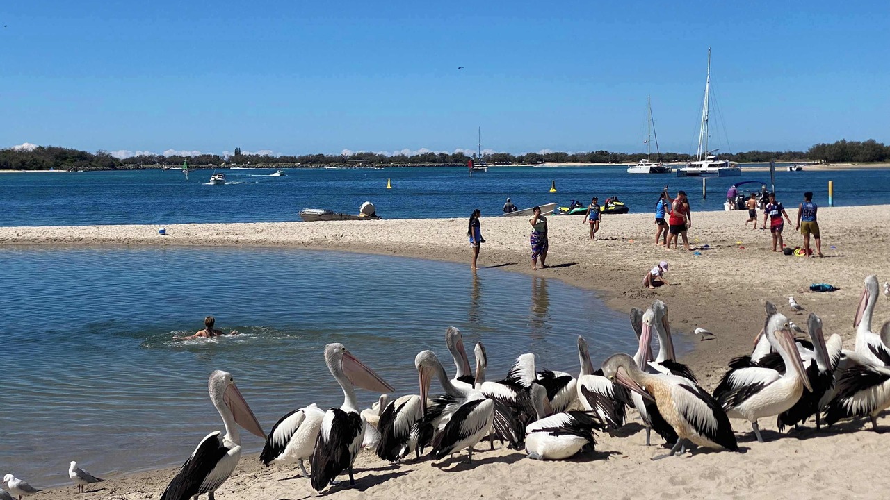 Photo of Others in Runaway Bay