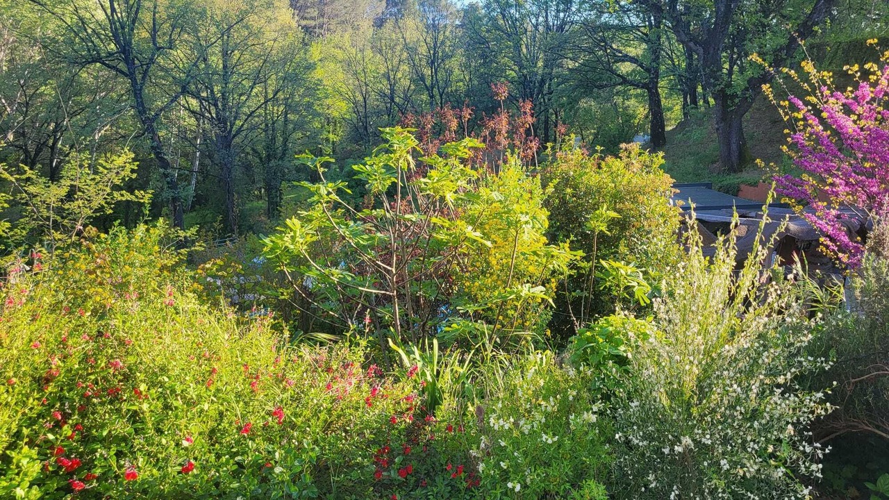 Photo of Outdoor in Villecroze