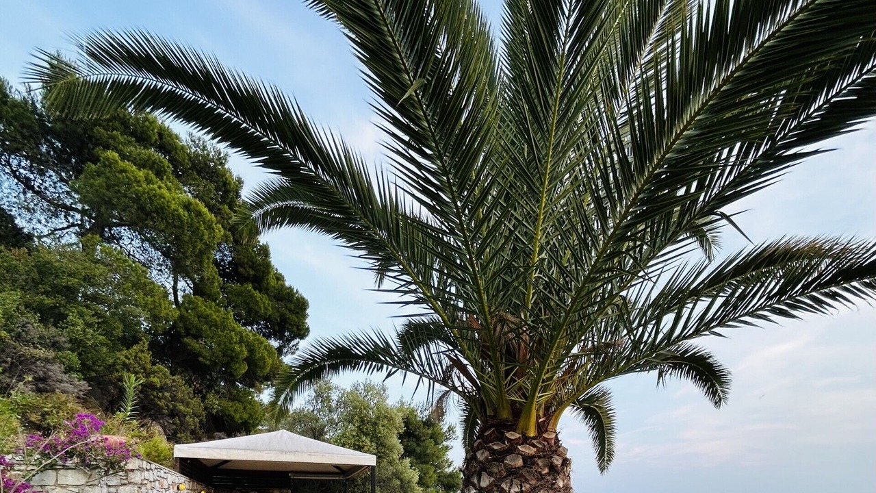 Photo of Patio Balcony in Kanapitsa