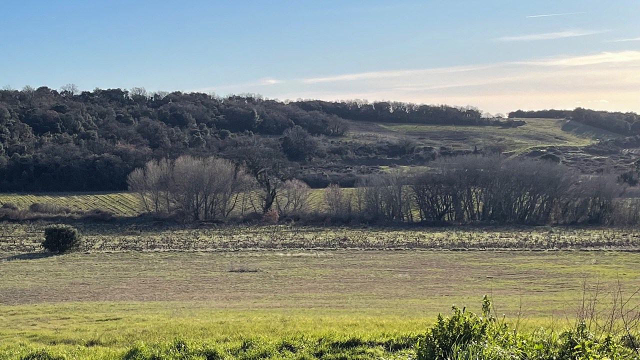 Photo of Others in Enclave des Papes-Pays de Grignan