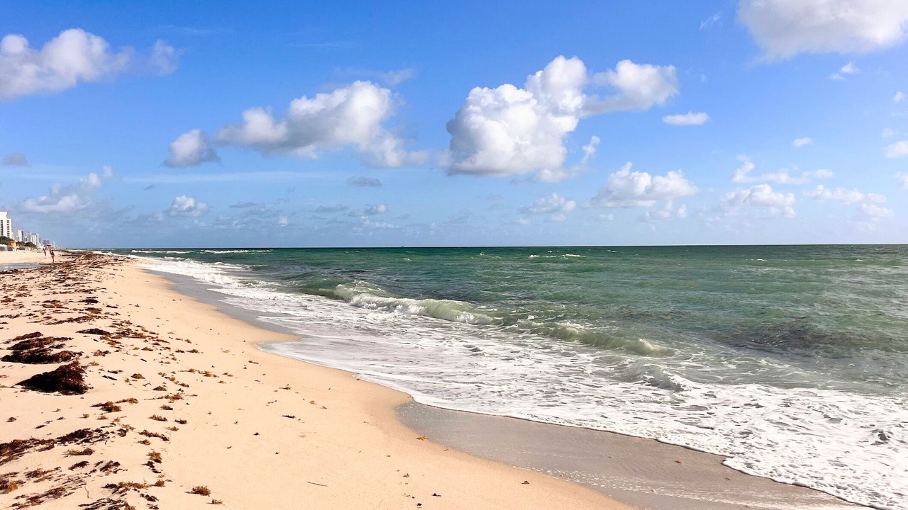 Photo of Others in Surfside