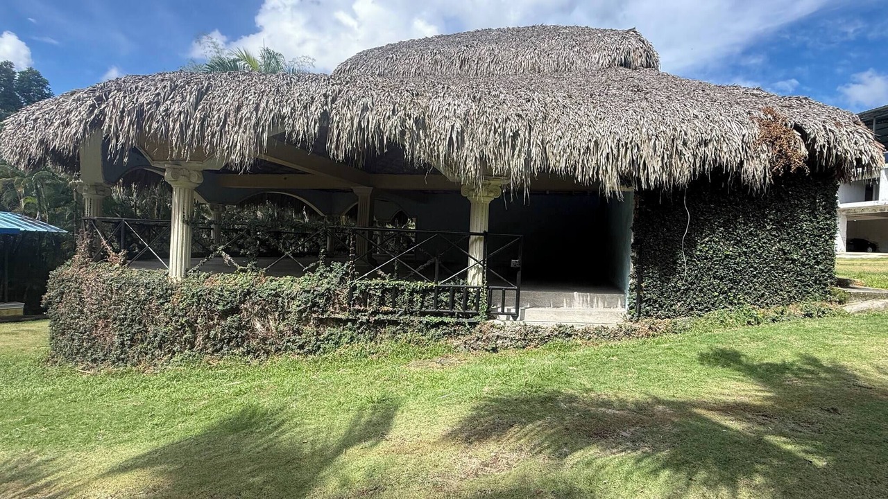 Photo of Outdoor in Pedro Brand