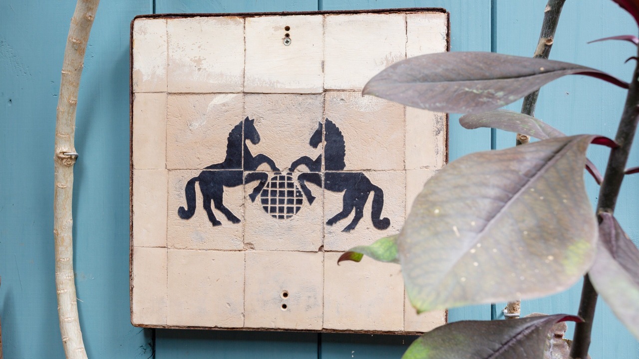 Photo of Others in Garachico